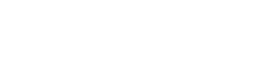 N+P